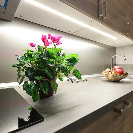 Central Beautiful Two Level Loft! Apartment